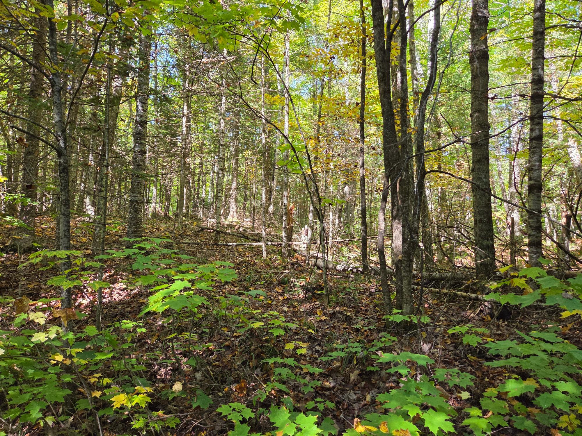 On Moonshine Valley Road, Unit 1 65 AC Presque Isle, WI 54557 - Photo 5 of 6 Gallery Image 5