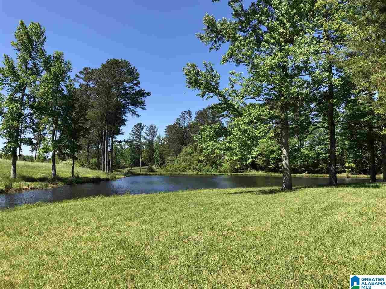 2676 Airport Road Oneonta, AL 35121 - Photo 6 of 14