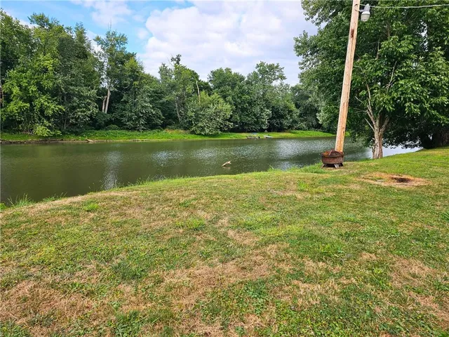 a large body of water with a large trees in the background