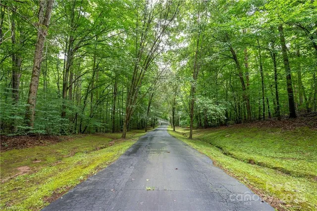 a view of a yard with palm trees