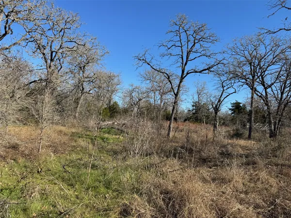a view of a yard