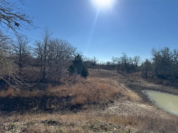 a view of a dry yard with trees