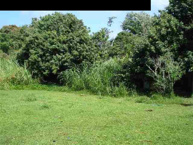 696 Mopua Street Haiku, HI 96708 - Photo 7 of 10 Gallery Image 7