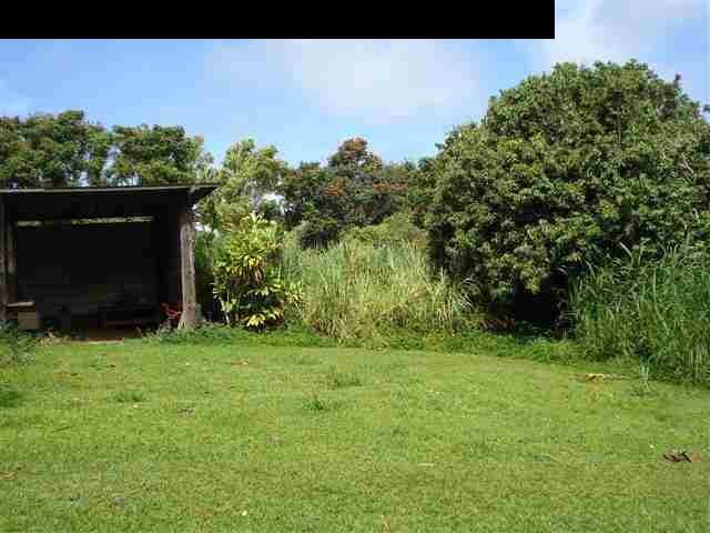 696 Mopua Street Haiku, HI 96708 - Photo 8 of 10 Gallery Image 8
