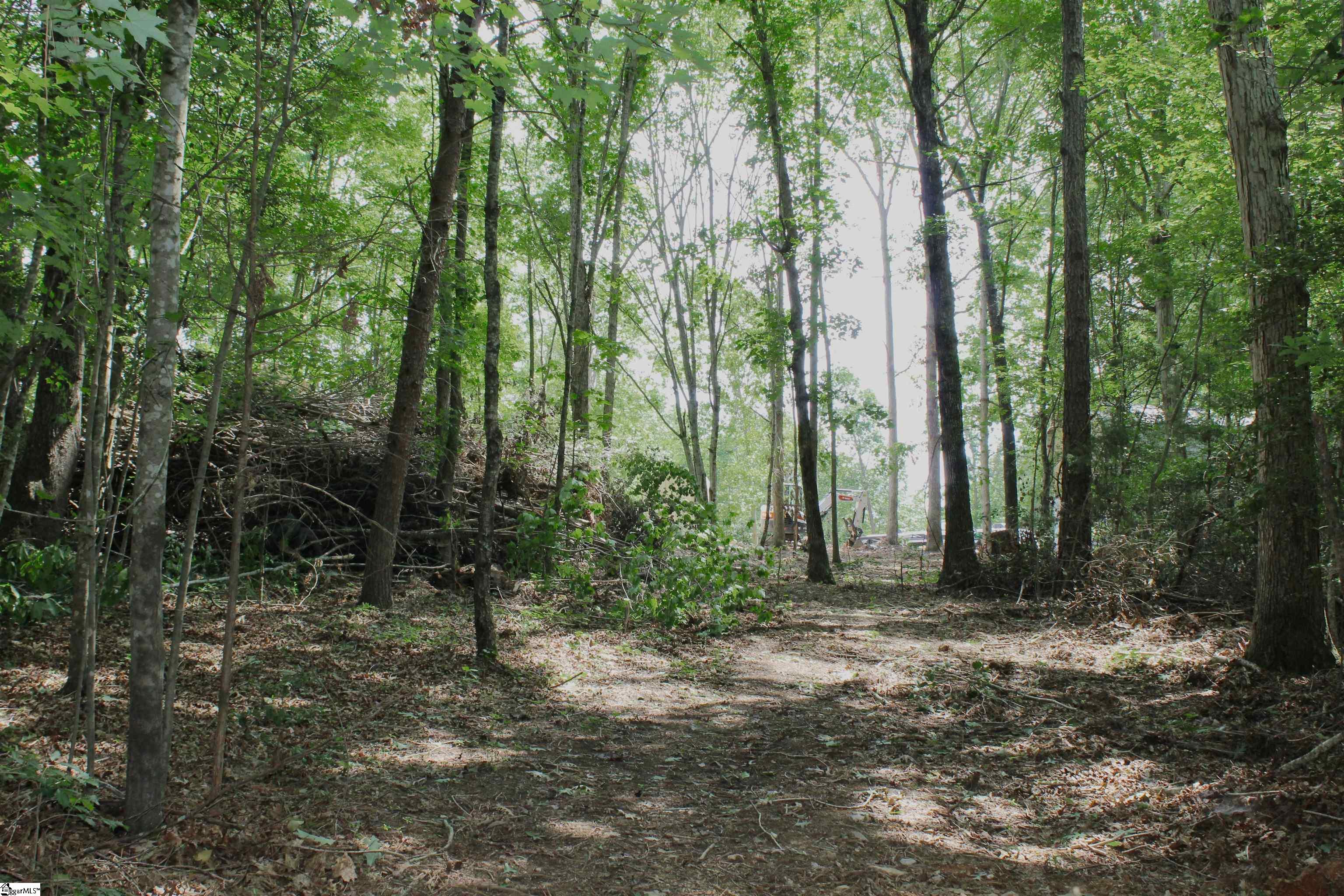 147 State Rd S-42-9983 Woodruff, SC 29388 - Photo 8 of 20