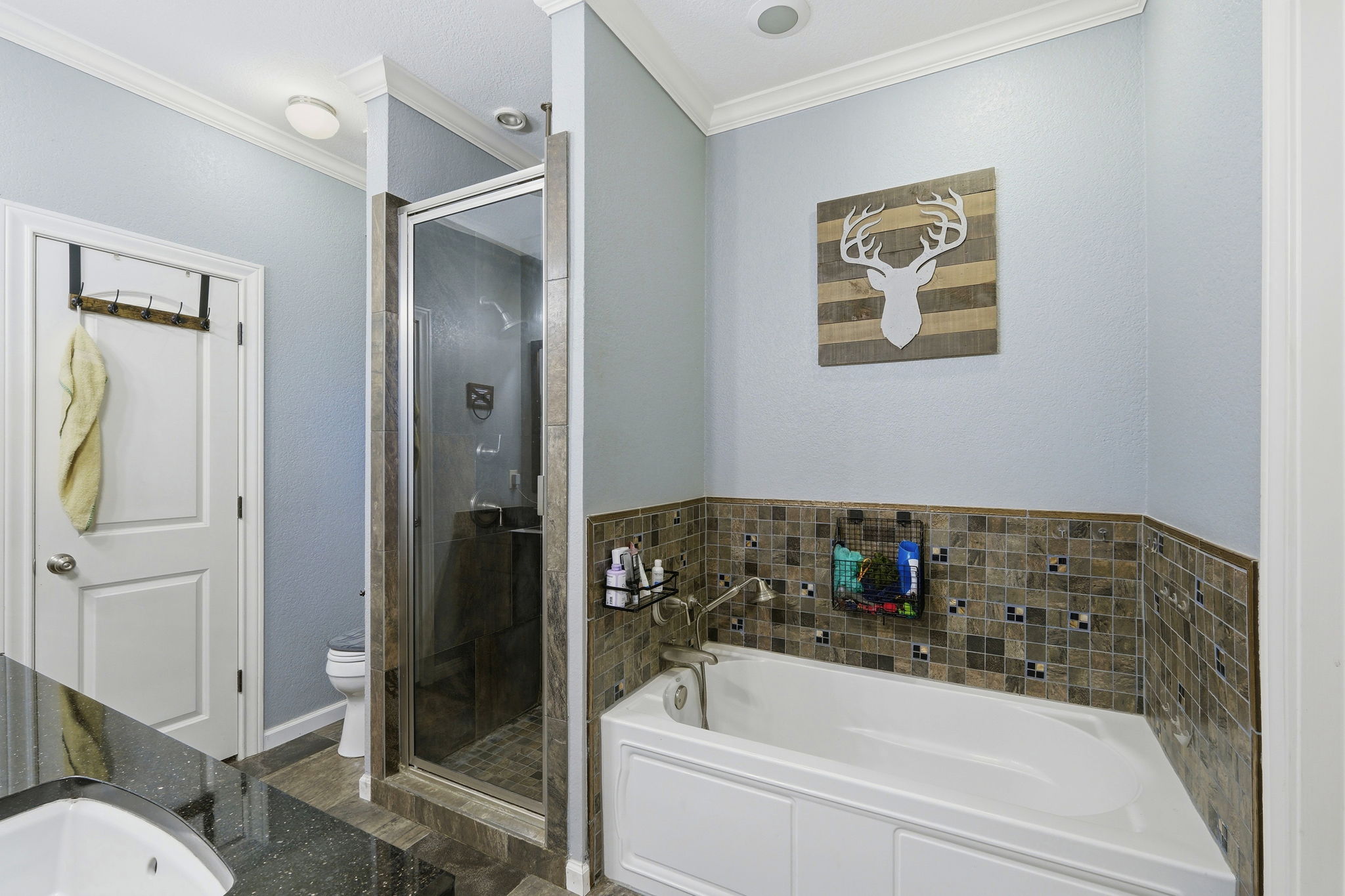 701 County Road 107 Georgetown, TX 78626 - Photo 18 of 30 a bathroom with a bathtub and a shower