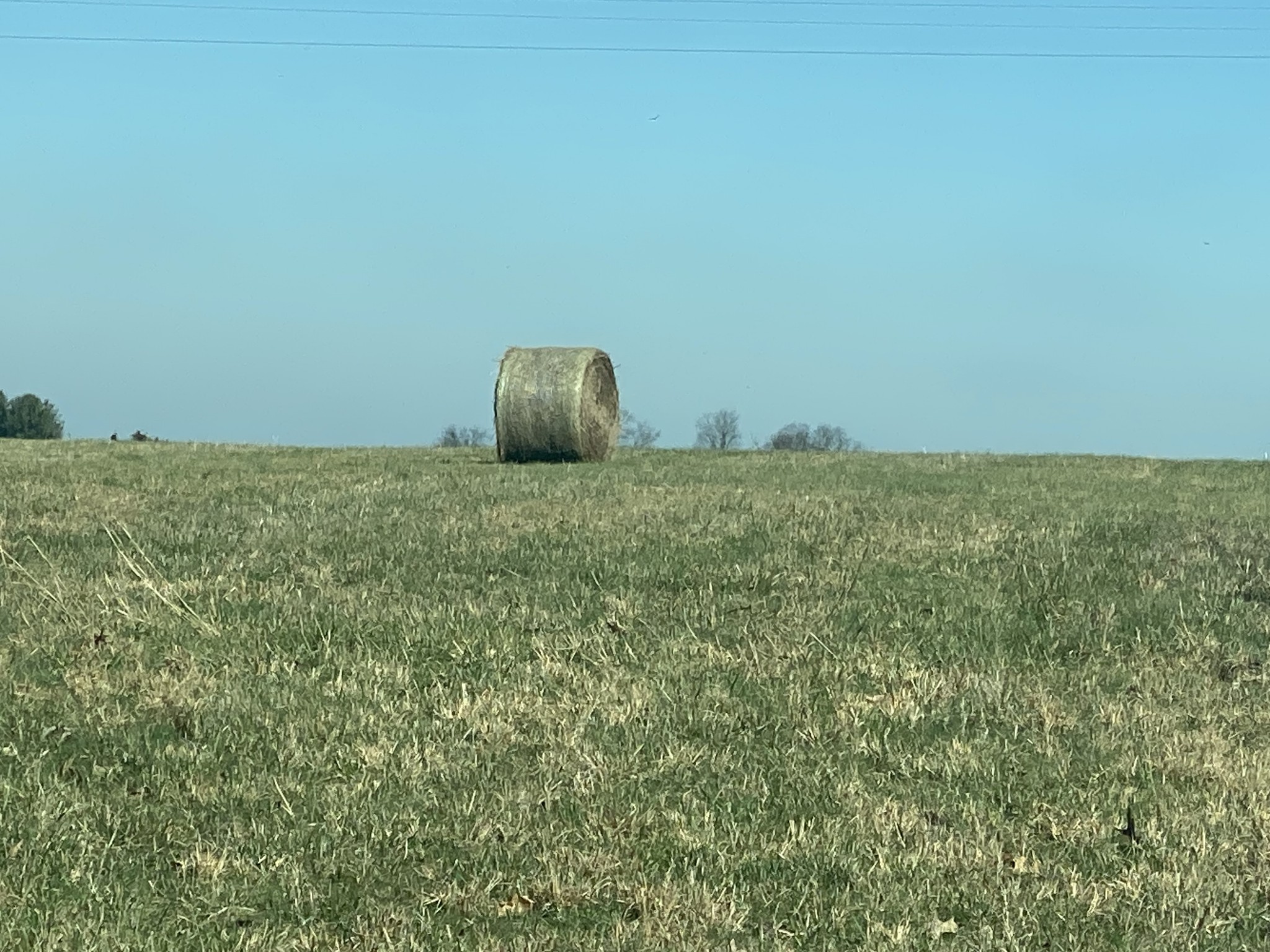 7 B Ashburn Springfield, TN 37172 - Photo 1 of 5 a view of a green field