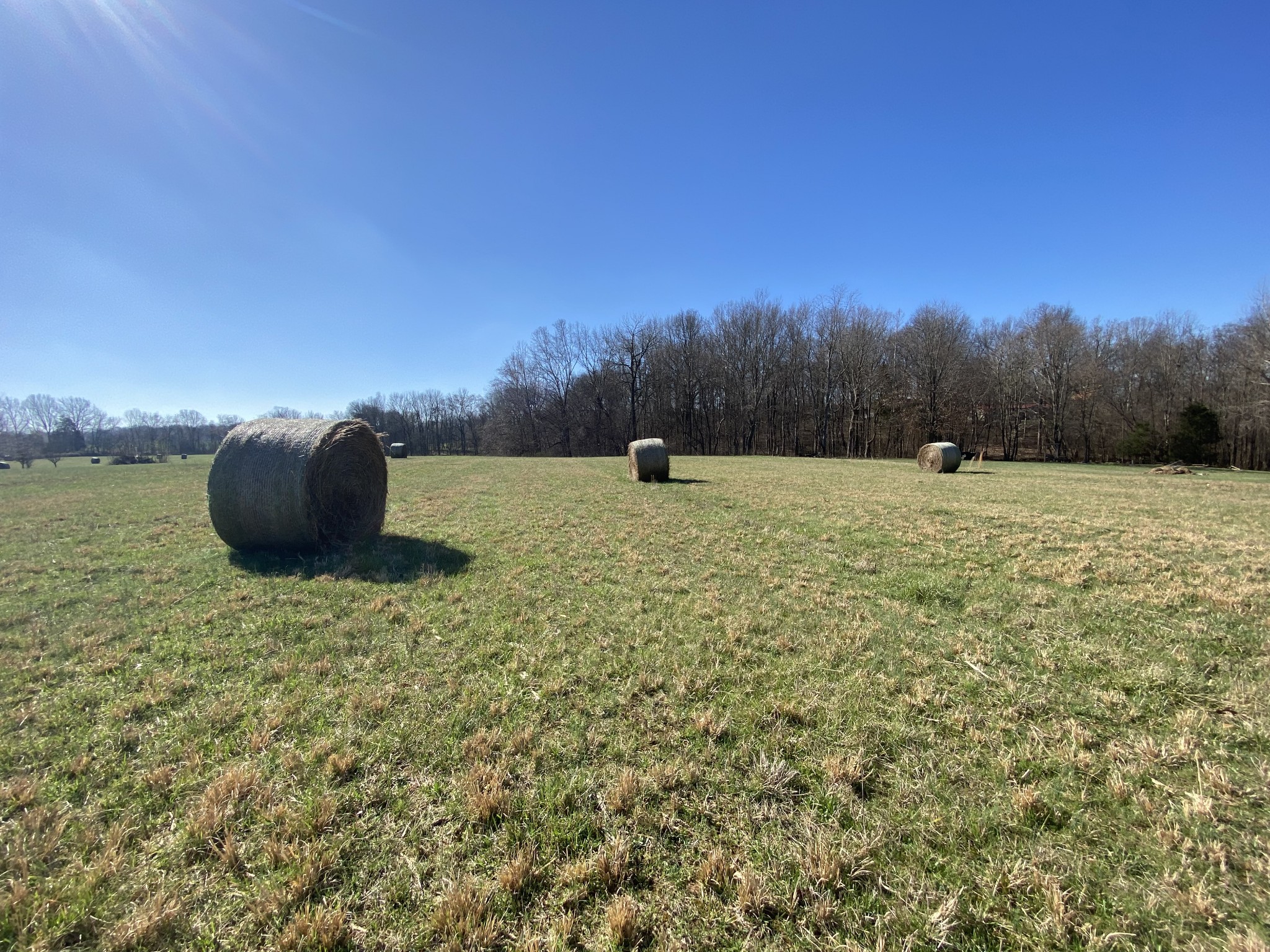 7 B Ashburn Springfield, TN 37172 - Photo 4 of 5