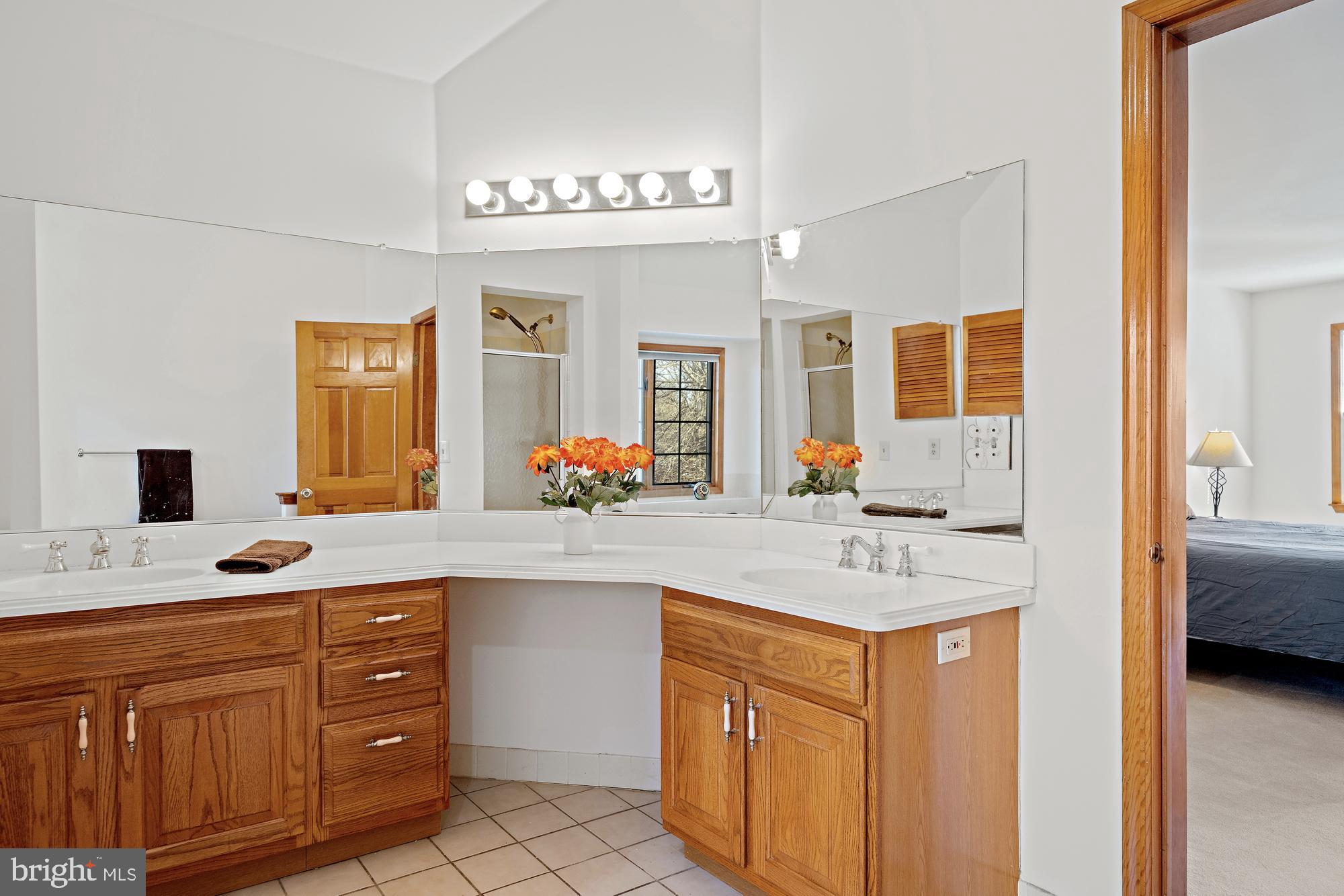 44 Roanoke Road Belle Mead, NJ 08502 - Photo 29 of 43 Dual sinks in master bath.