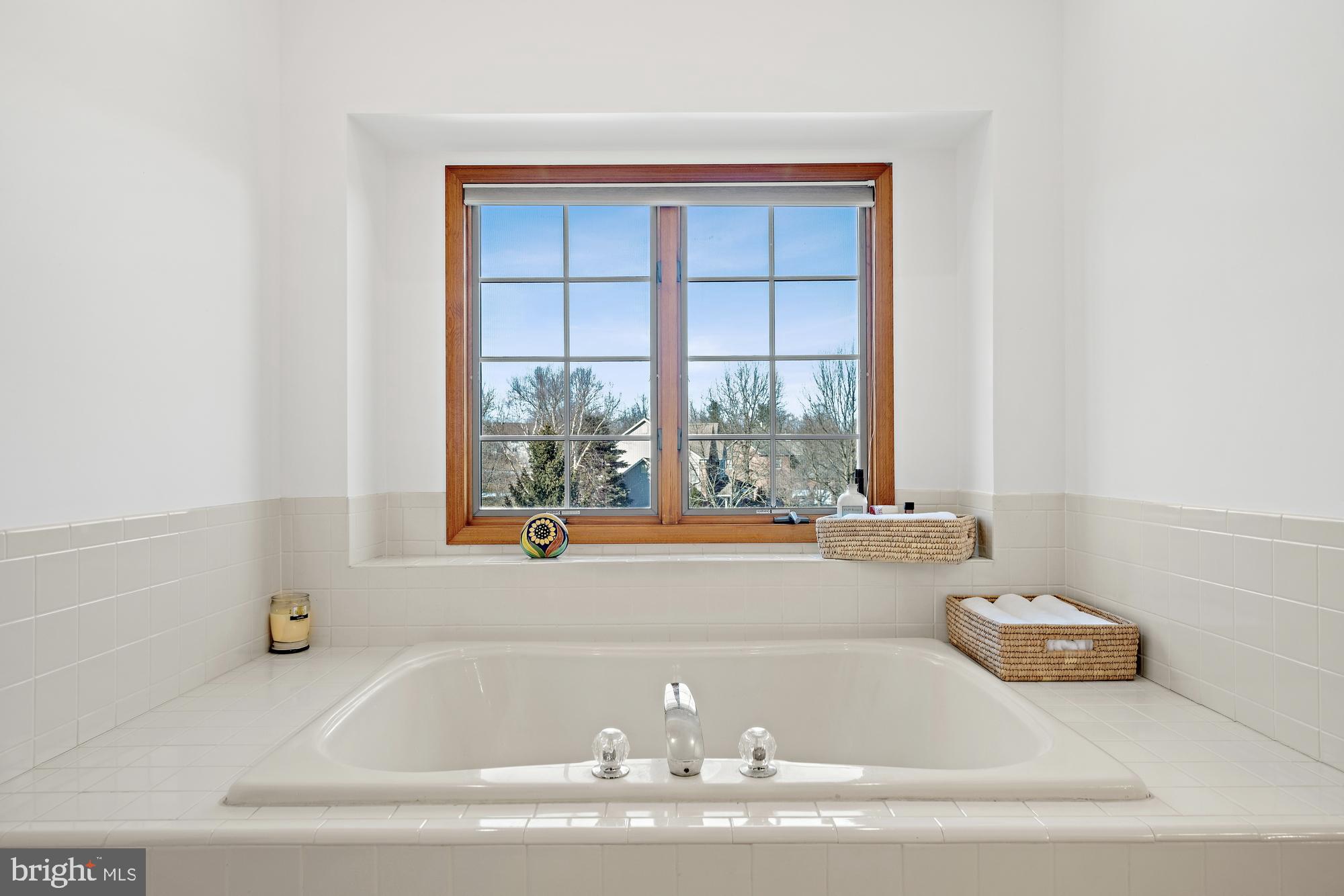 44 Roanoke Road Belle Mead, NJ 08502 - Photo 30 of 43 Window above soaking tub area.