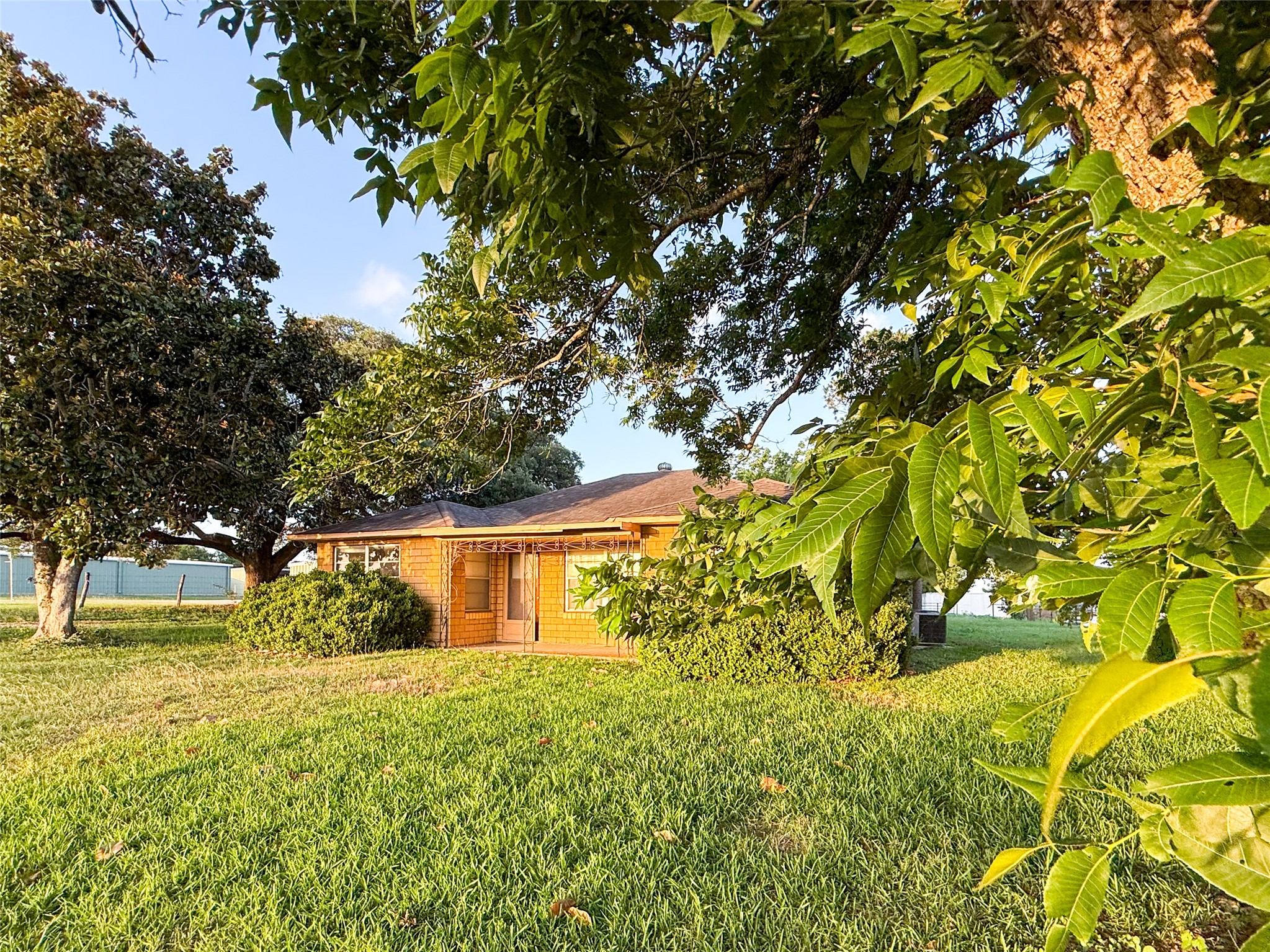 1002 Neiser Lane Weimar, TX 78962 - Photo 17 of 23 a view of a yard with plants and large trees
