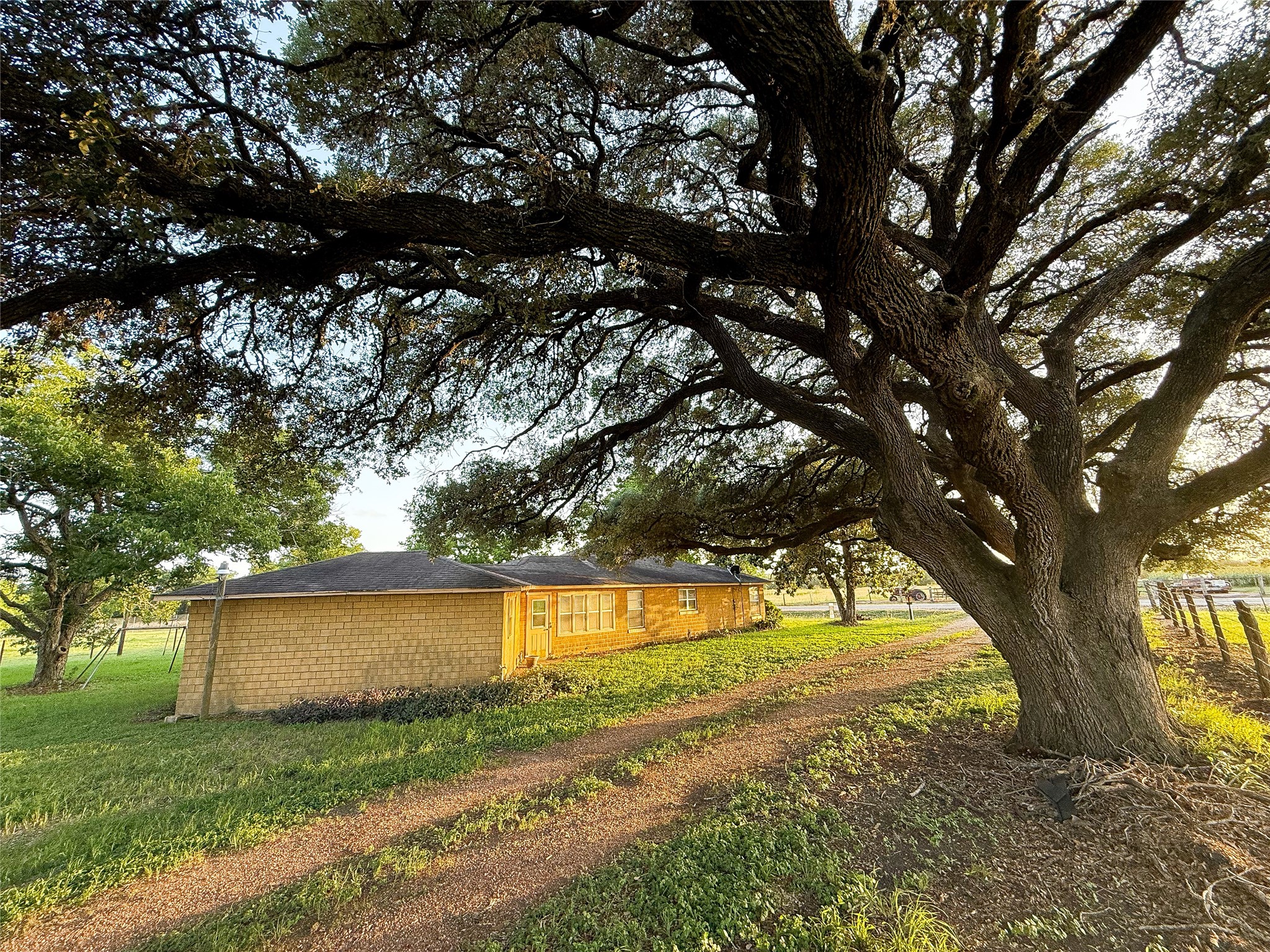 1002 Neiser Lane Weimar, TX 78962 - Photo 23 of 23 a view of yard with trees
