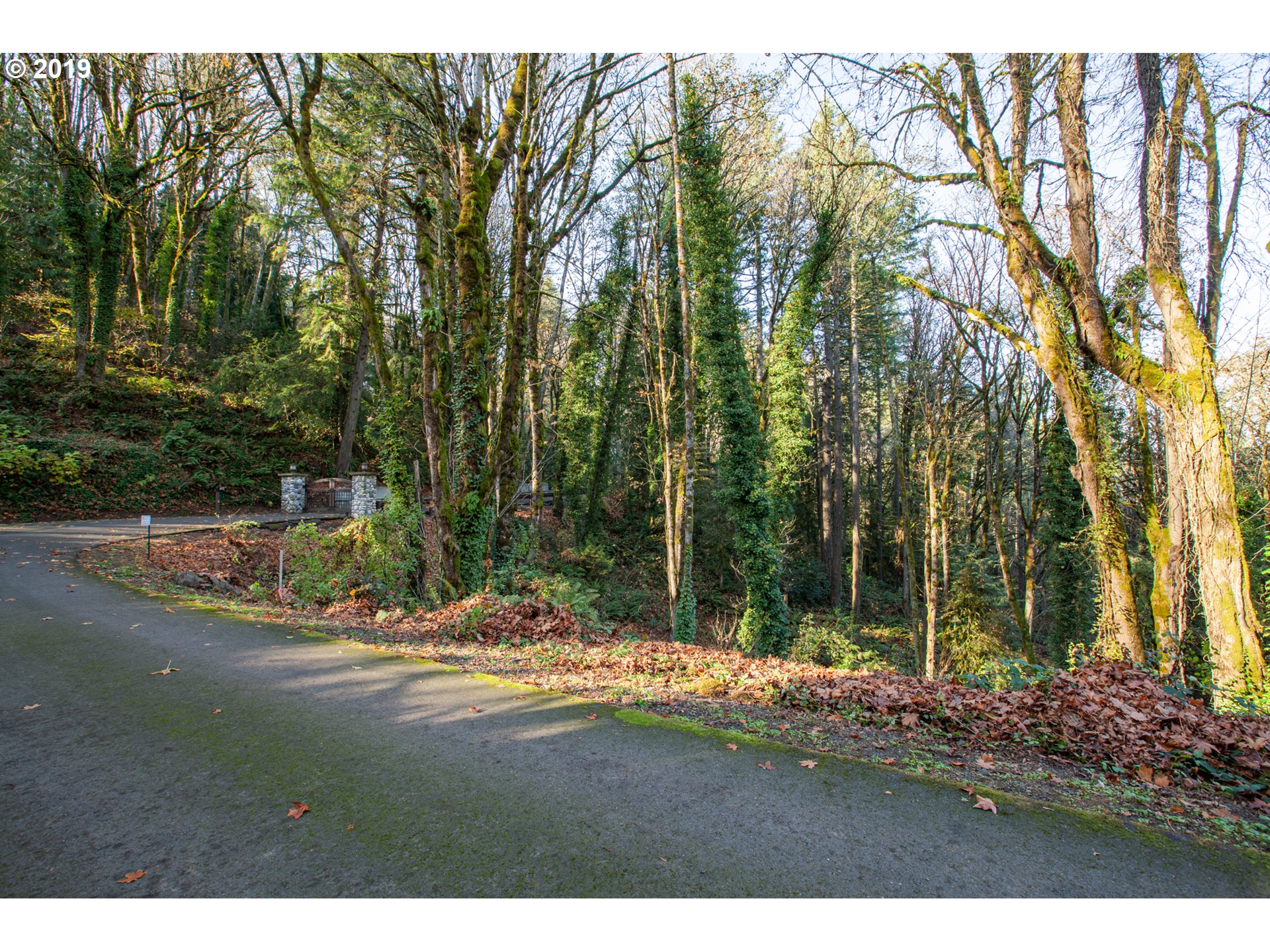 Northwest Royal Boulevard Portland, OR 97210 - Photo 1 of 29 Gallery Image 1