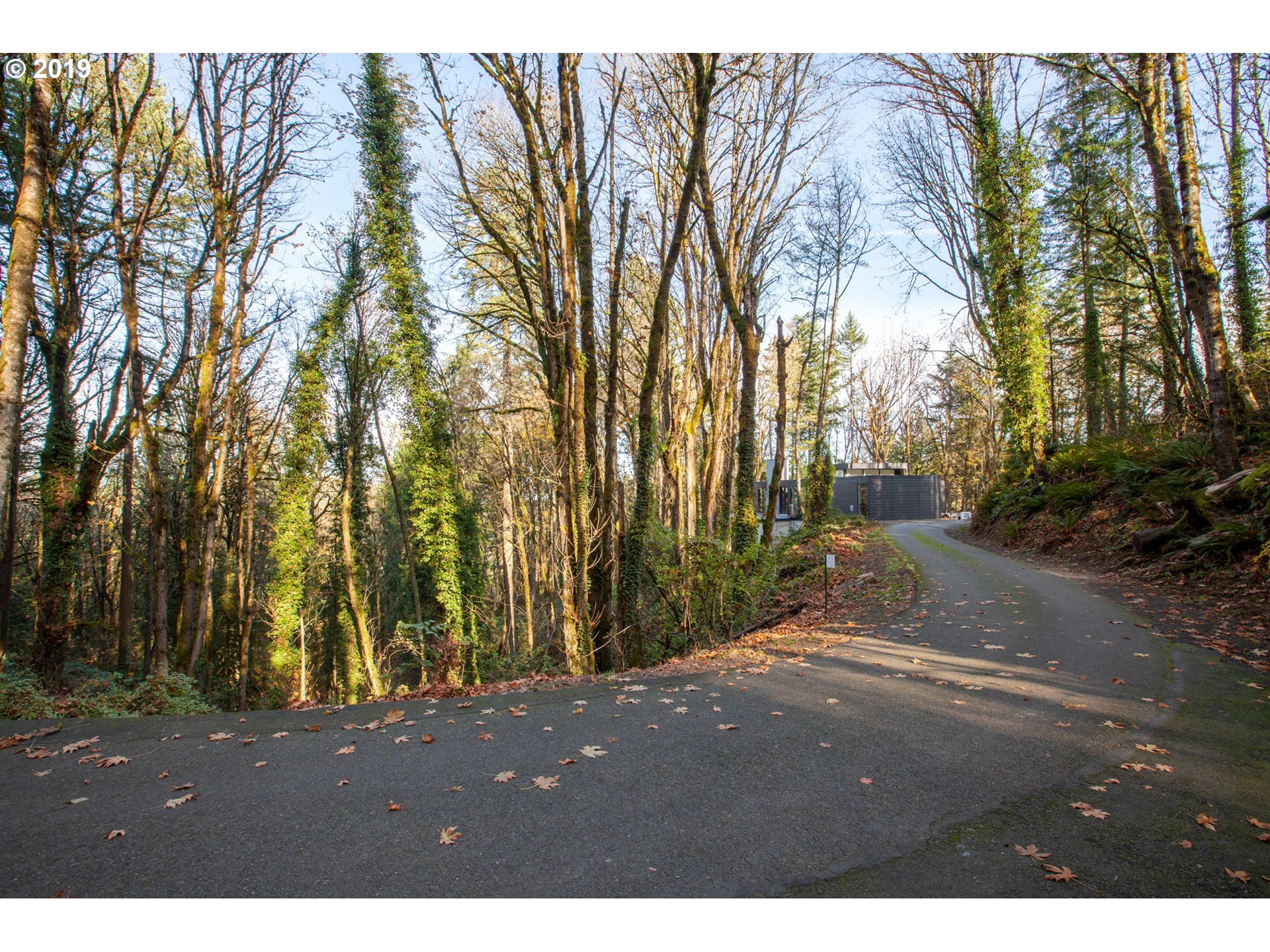 Northwest Royal Boulevard Portland, OR 97210 - Photo 13 of 29 Gallery Image 13