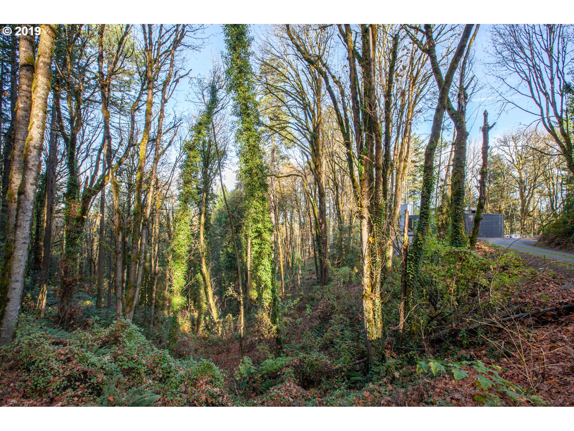 Northwest Royal Boulevard Portland, OR 97210 - Photo 14 of 29 Gallery Image 14