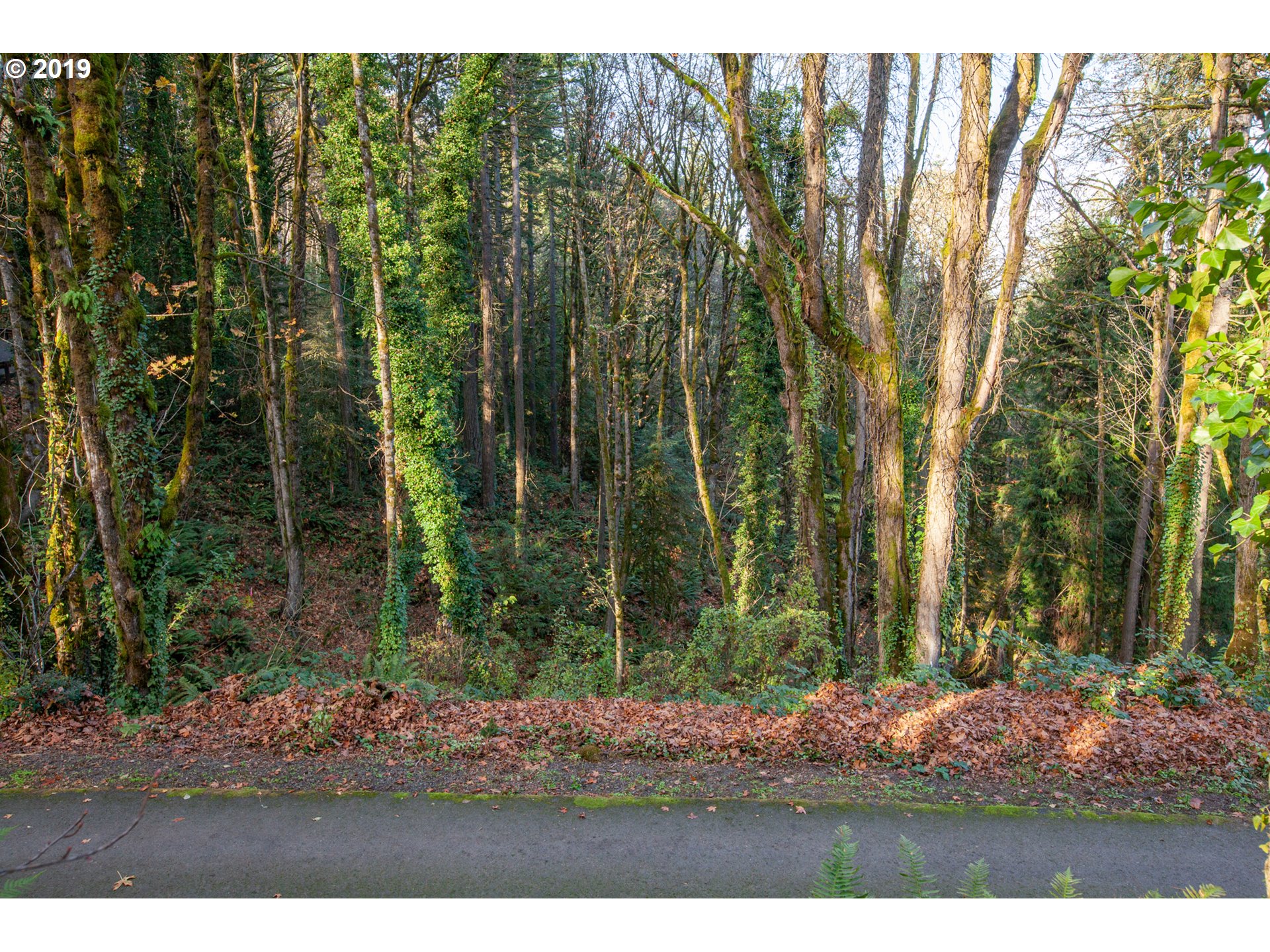 Northwest Royal Boulevard Portland, OR 97210 - Photo 18 of 29 Gallery Image 18