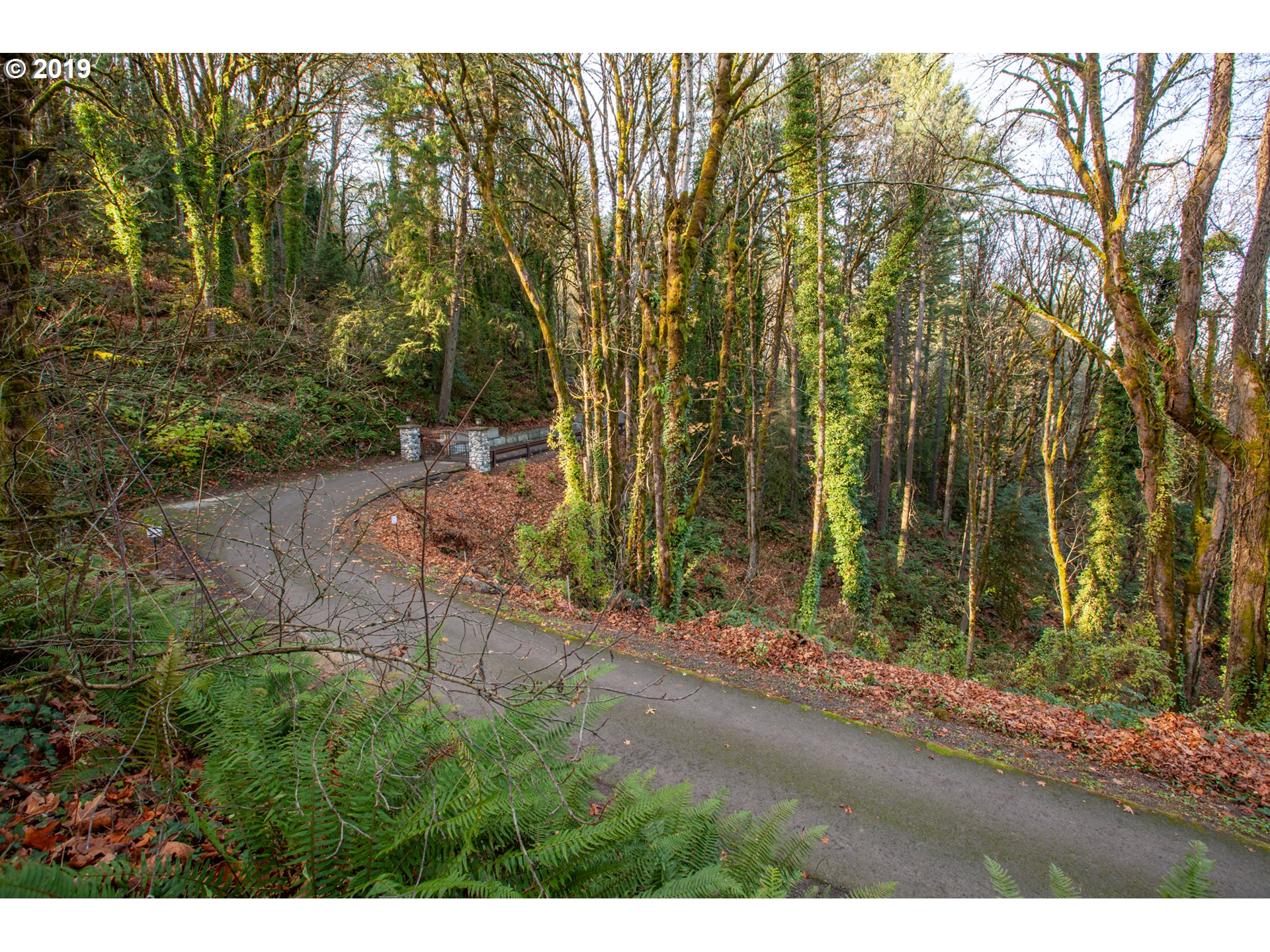 Northwest Royal Boulevard Portland, OR 97210 - Photo 20 of 29 Gallery Image 20