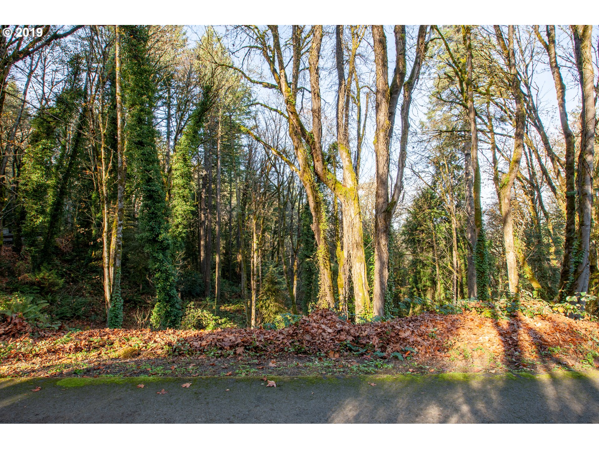 Northwest Royal Boulevard Portland, OR 97210 - Photo 3 of 29 Gallery Image 3
