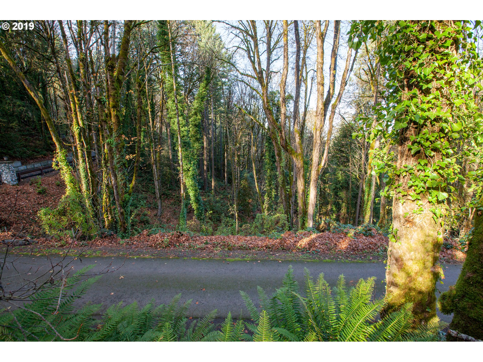Northwest Royal Boulevard Portland, OR 97210 - Photo 29 of 29 Gallery Image 29