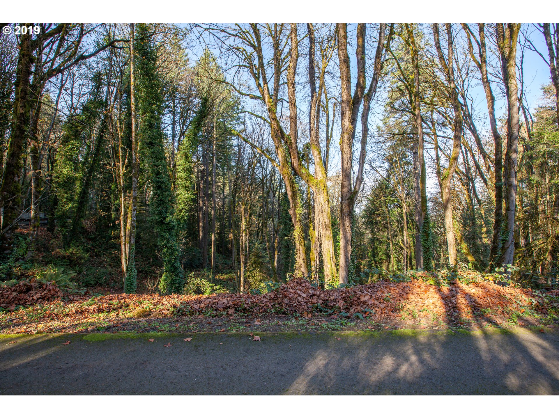 Northwest Royal Boulevard Portland, OR 97210 - Photo 4 of 29 Gallery Image 4