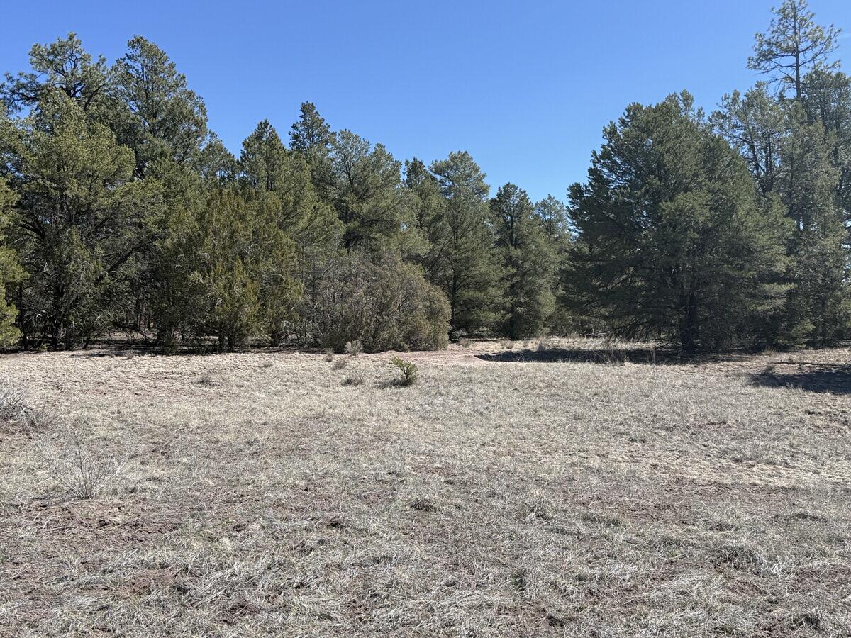 Lot 5 Copperweed Road Ramah, NM 87321 - Photo 54 of 88 Gallery Image 54