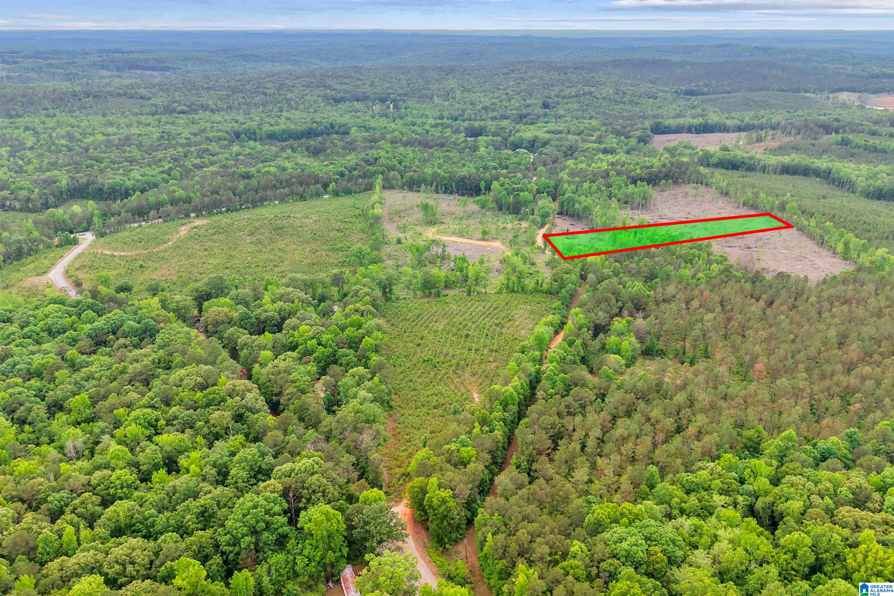 Active Road, Unit 3 Lawley, AL 36793 - Photo 3 of 20
