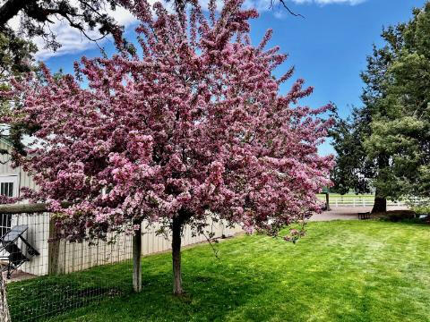 65190 Gerking Market Road Bend, OR 97703 - Photo 68 of 74 67