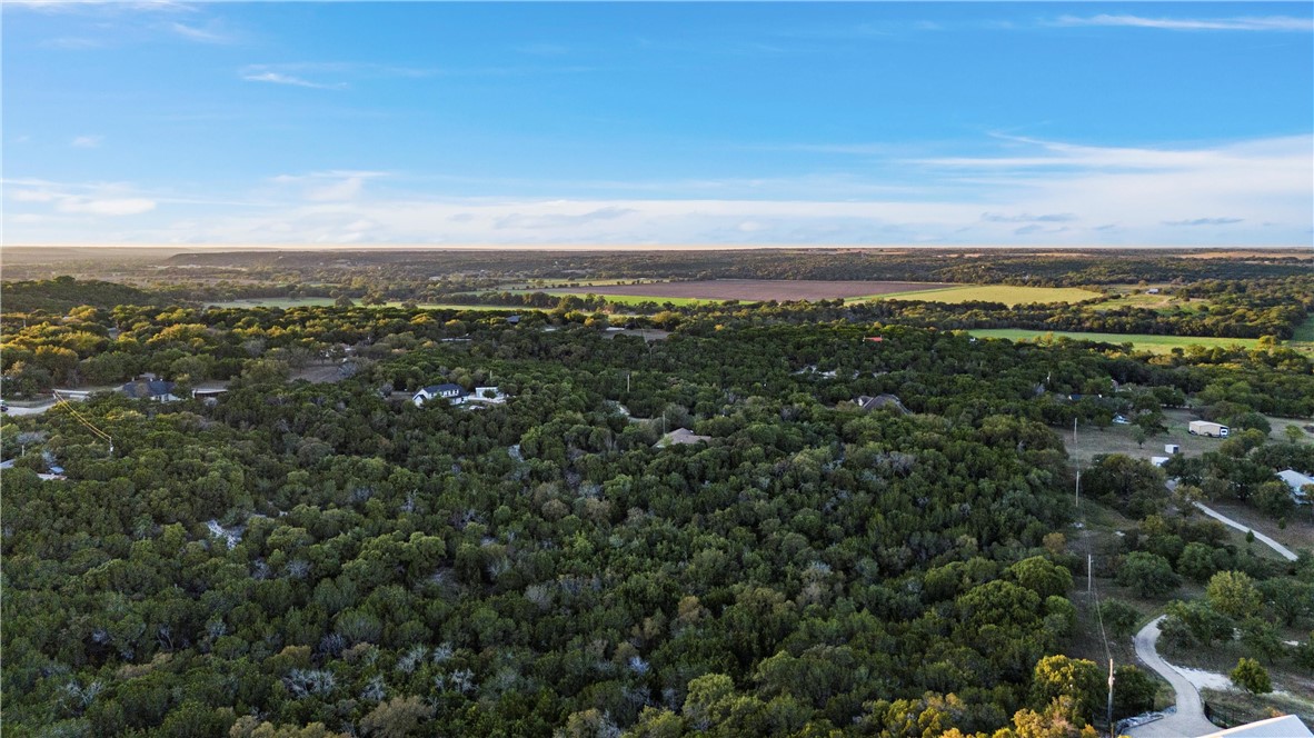 778 Rivercrest Road Valley Mills, TX 76689 - Photo 59 of 66 a view of a city with lush green forest