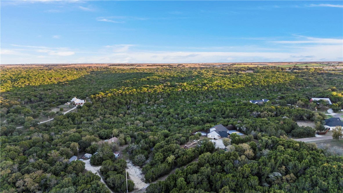 778 Rivercrest Road Valley Mills, TX 76689 - Photo 60 of 66 a view of a city with lush green forest