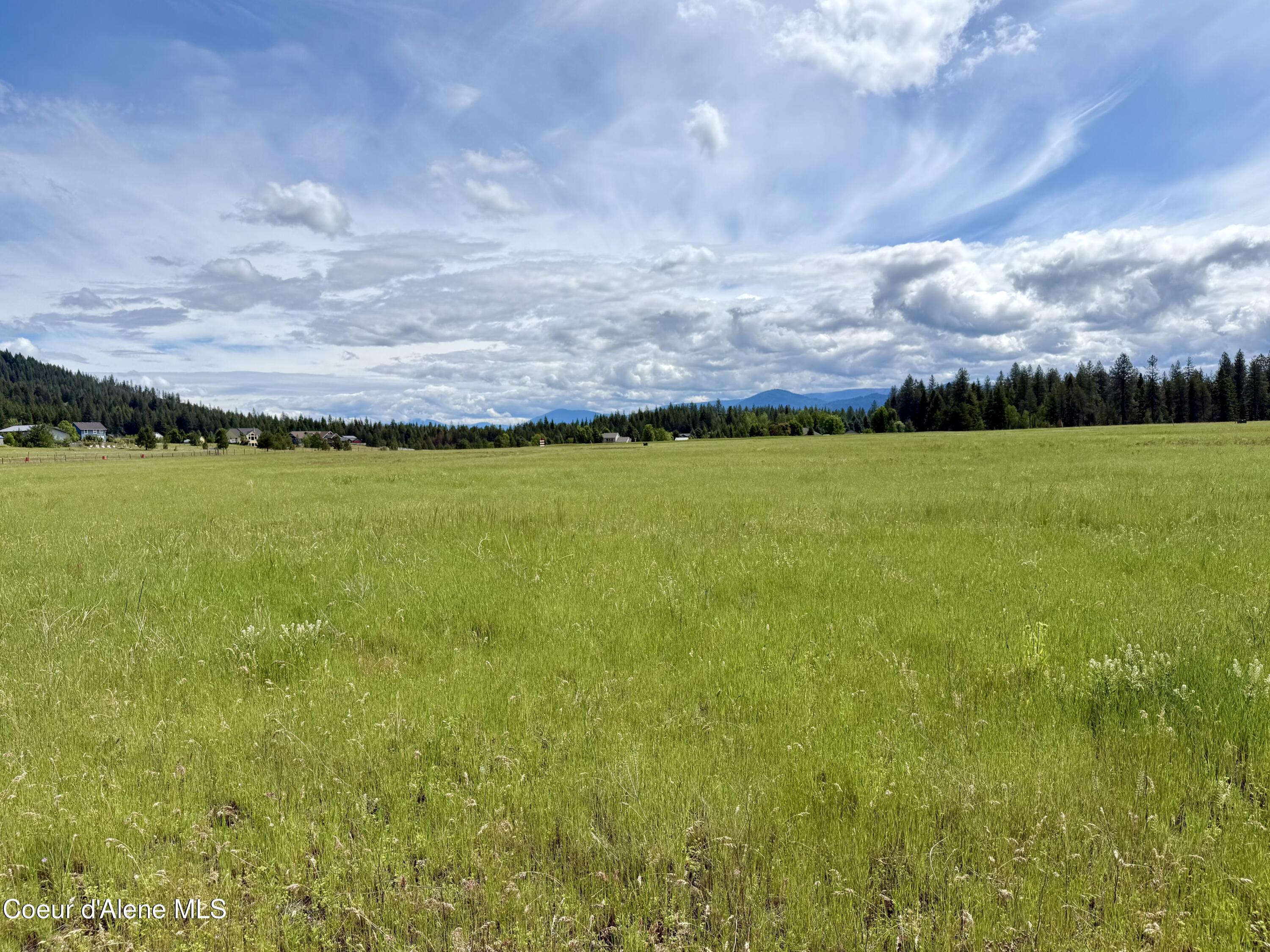 Lot 7 North Stonemason Way Rathdrum, ID 83858 - Photo 4 of 6 Open, usable acreage.