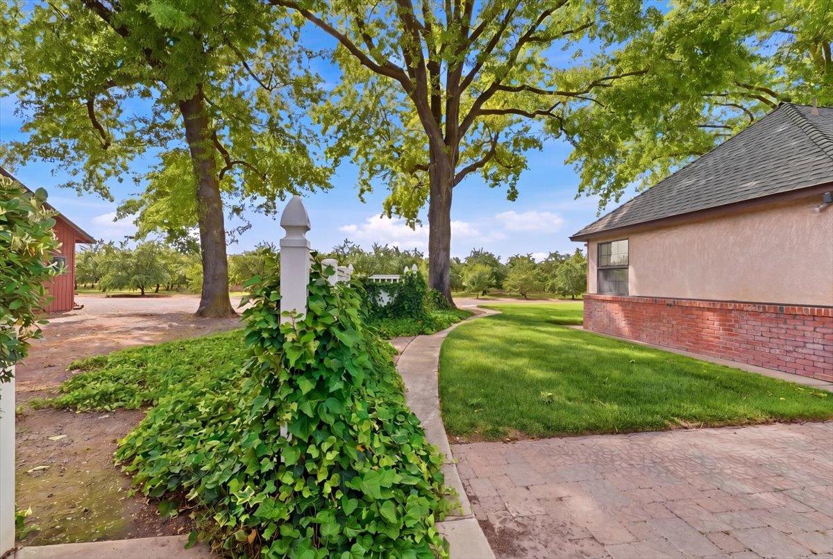 30324 Lone Tree Road Oakdale, CA 95361 - Photo 45 of 74 a view of a yard with plants and large trees