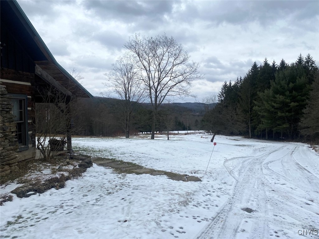 4607 Waugh Brook Road Ward, NY 14880 - Photo 35 of 50