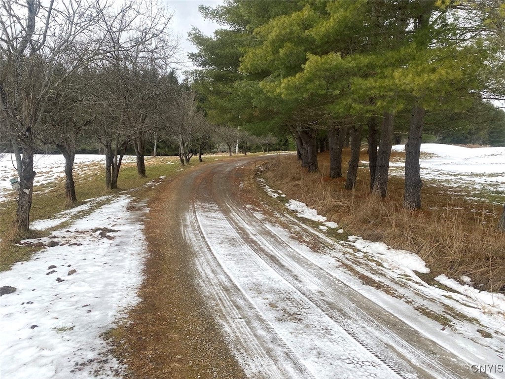 4607 Waugh Brook Road Ward, NY 14880 - Photo 36 of 50