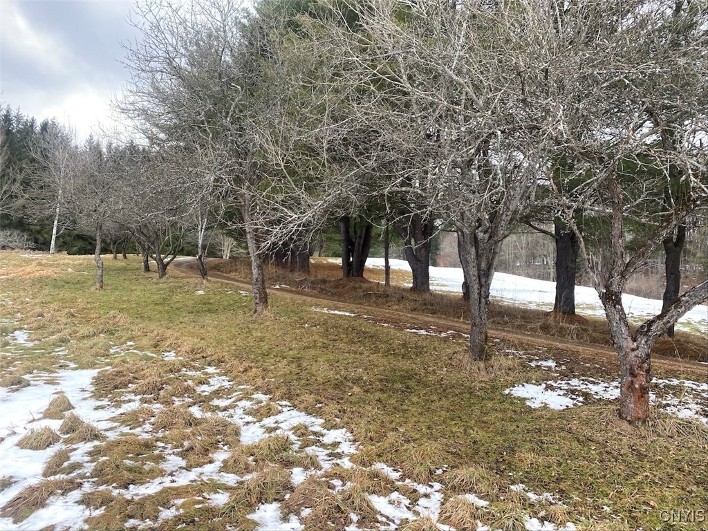 4607 Waugh Brook Road Ward, NY 14880 - Photo 37 of 50