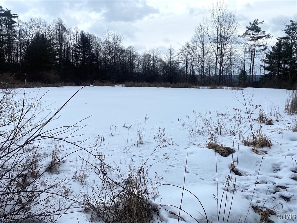 4607 Waugh Brook Road Ward, NY 14880 - Photo 38 of 50