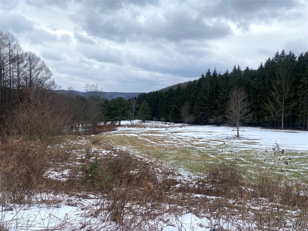 4607 Waugh Brook Road Ward, NY 14880 - Photo 39 of 50