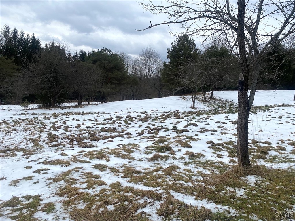 4607 Waugh Brook Road Ward, NY 14880 - Photo 40 of 50