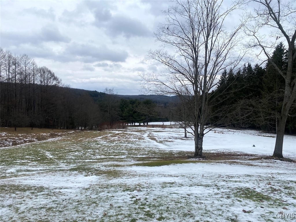 4607 Waugh Brook Road Ward, NY 14880 - Photo 41 of 50