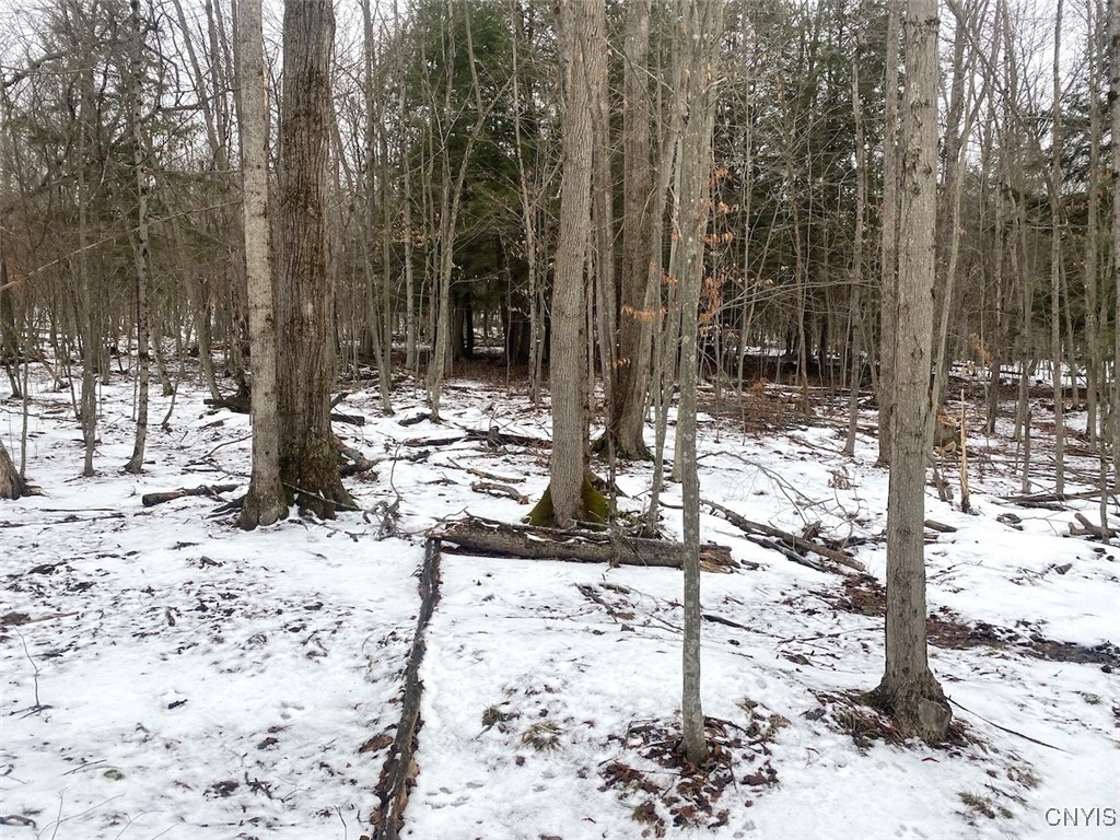 4607 Waugh Brook Road Ward, NY 14880 - Photo 42 of 50