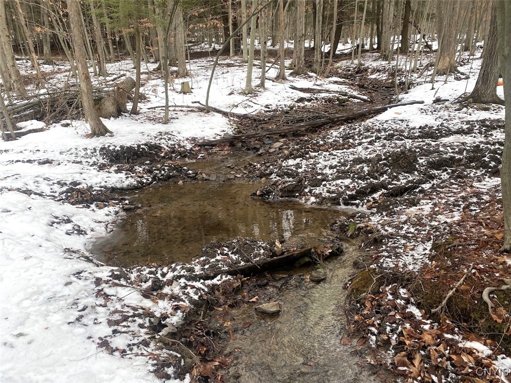 4607 Waugh Brook Road Ward, NY 14880 - Photo 43 of 50