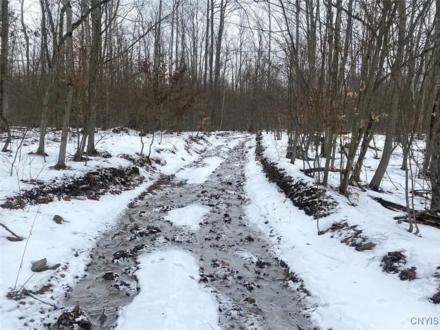 $674,900 | 4607 Waugh Brook Road, Ward, NY 14880