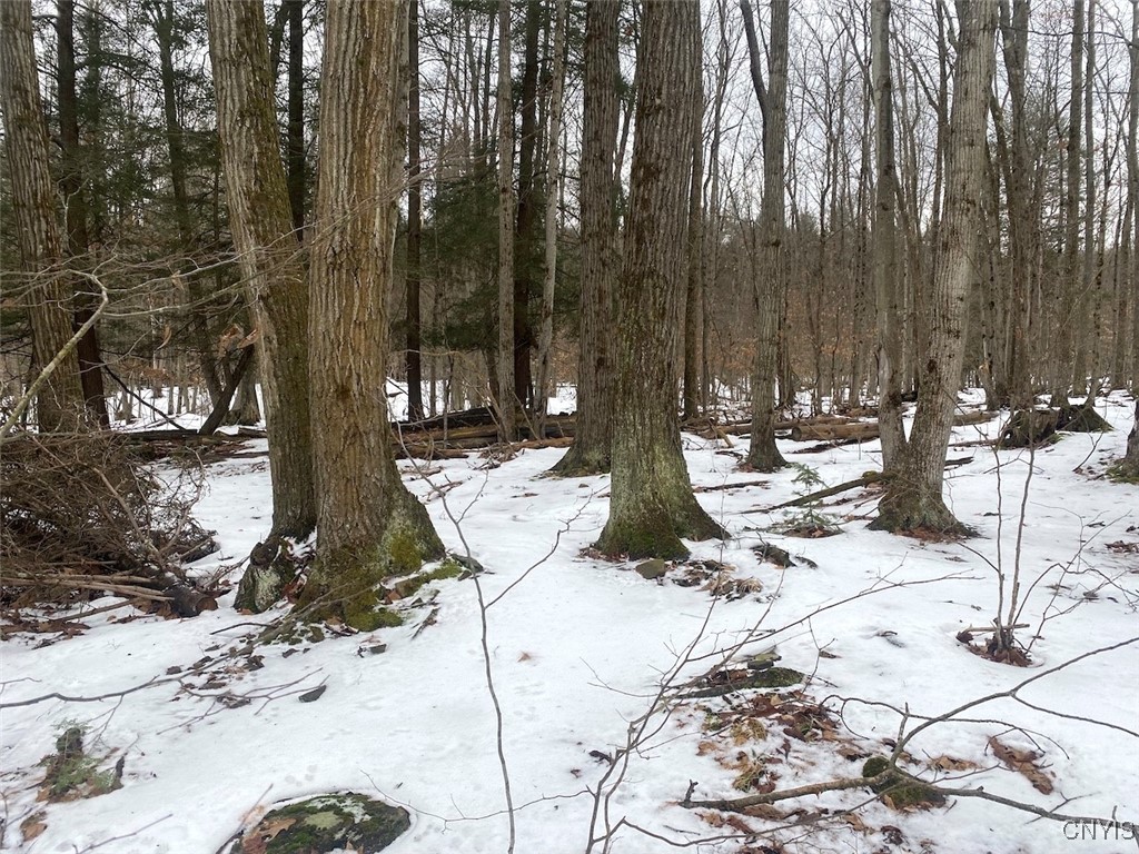 4607 Waugh Brook Road Ward, NY 14880 - Photo 45 of 50