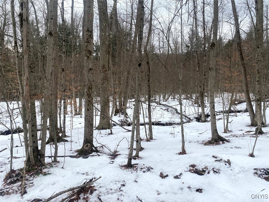 4607 Waugh Brook Road Ward, NY 14880 - Photo 46 of 50