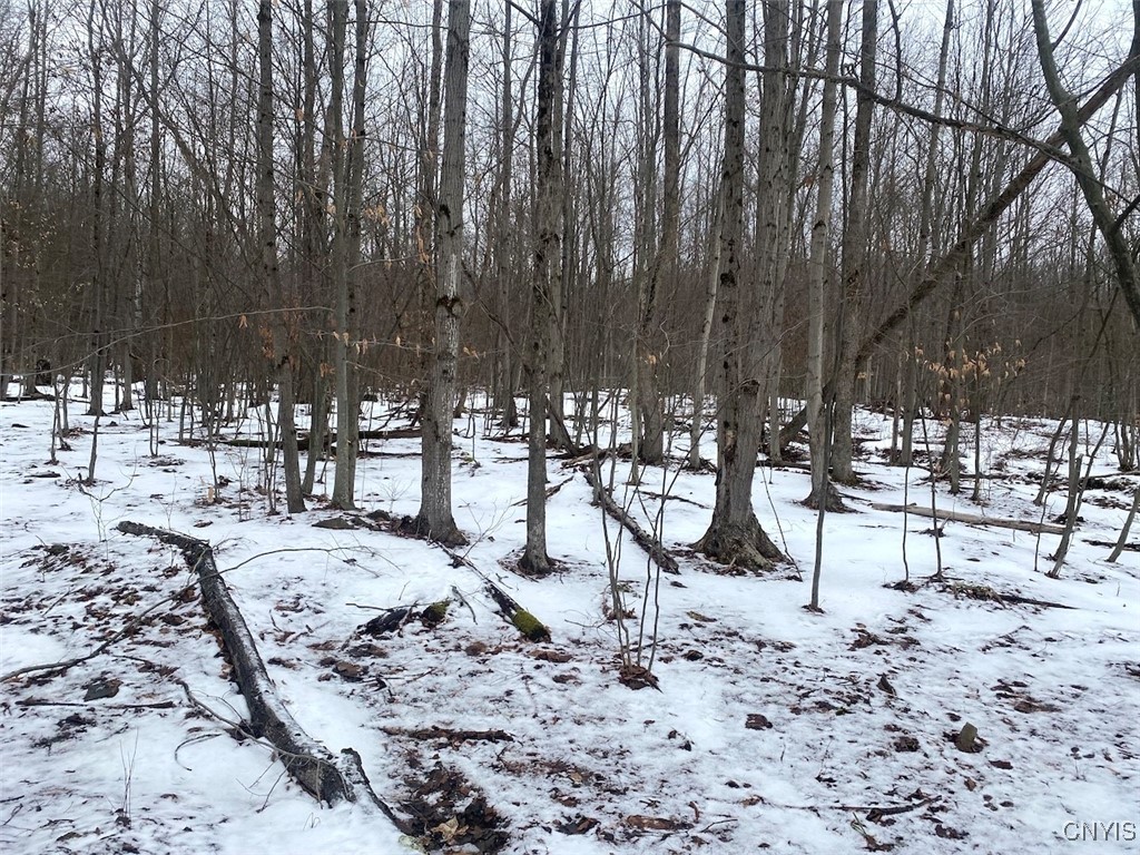 4607 Waugh Brook Road Ward, NY 14880 - Photo 47 of 50