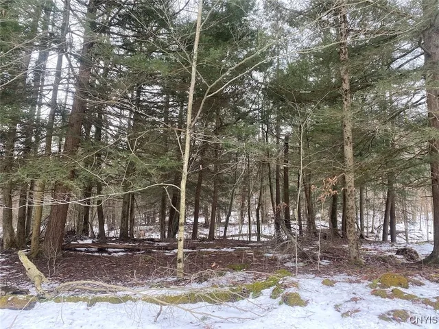 $674,900 | 4607 Waugh Brook Road, Ward, NY 14880