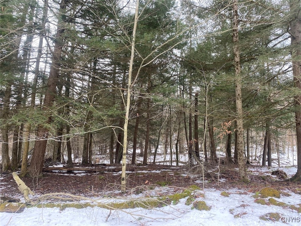 4607 Waugh Brook Road Ward, NY 14880 - Photo 48 of 50