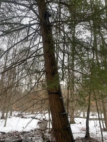 $674,900 | 4607 Waugh Brook Road, Ward, NY 14880