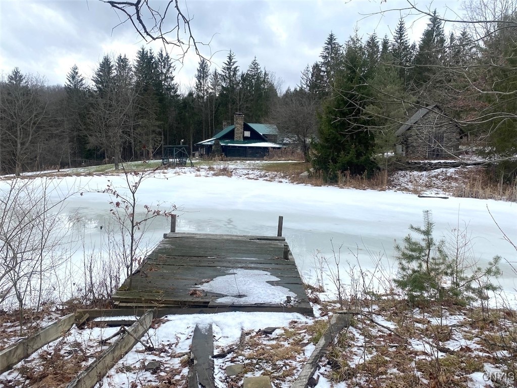 4607 Waugh Brook Road Ward, NY 14880 - Photo 6 of 50