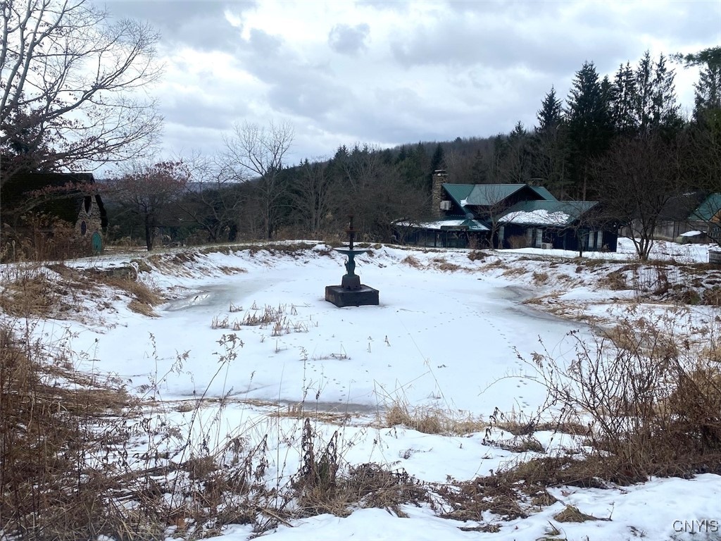 4607 Waugh Brook Road Ward, NY 14880 - Photo 7 of 50