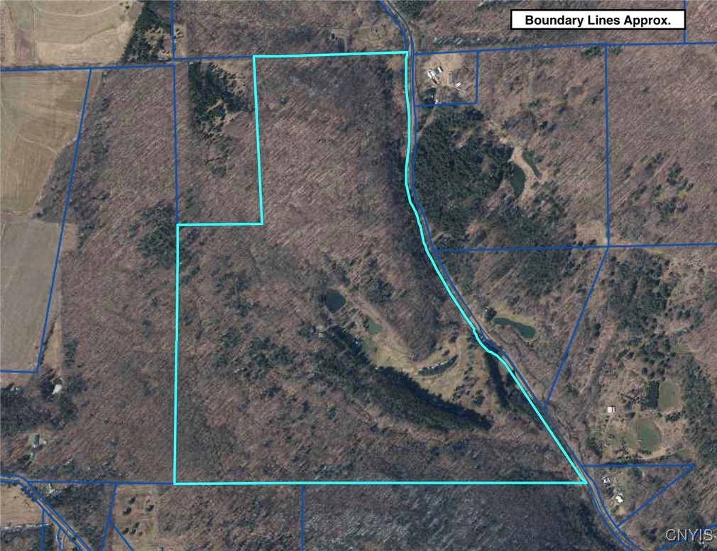 4607 Waugh Brook Road Ward, NY 14880 - Photo 9 of 50